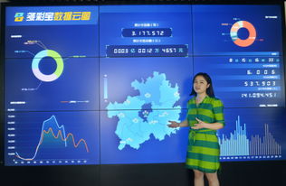 數博會擦亮貴陽大數據名片——專訪貴州多彩寶互聯網服務副總經理夏杰